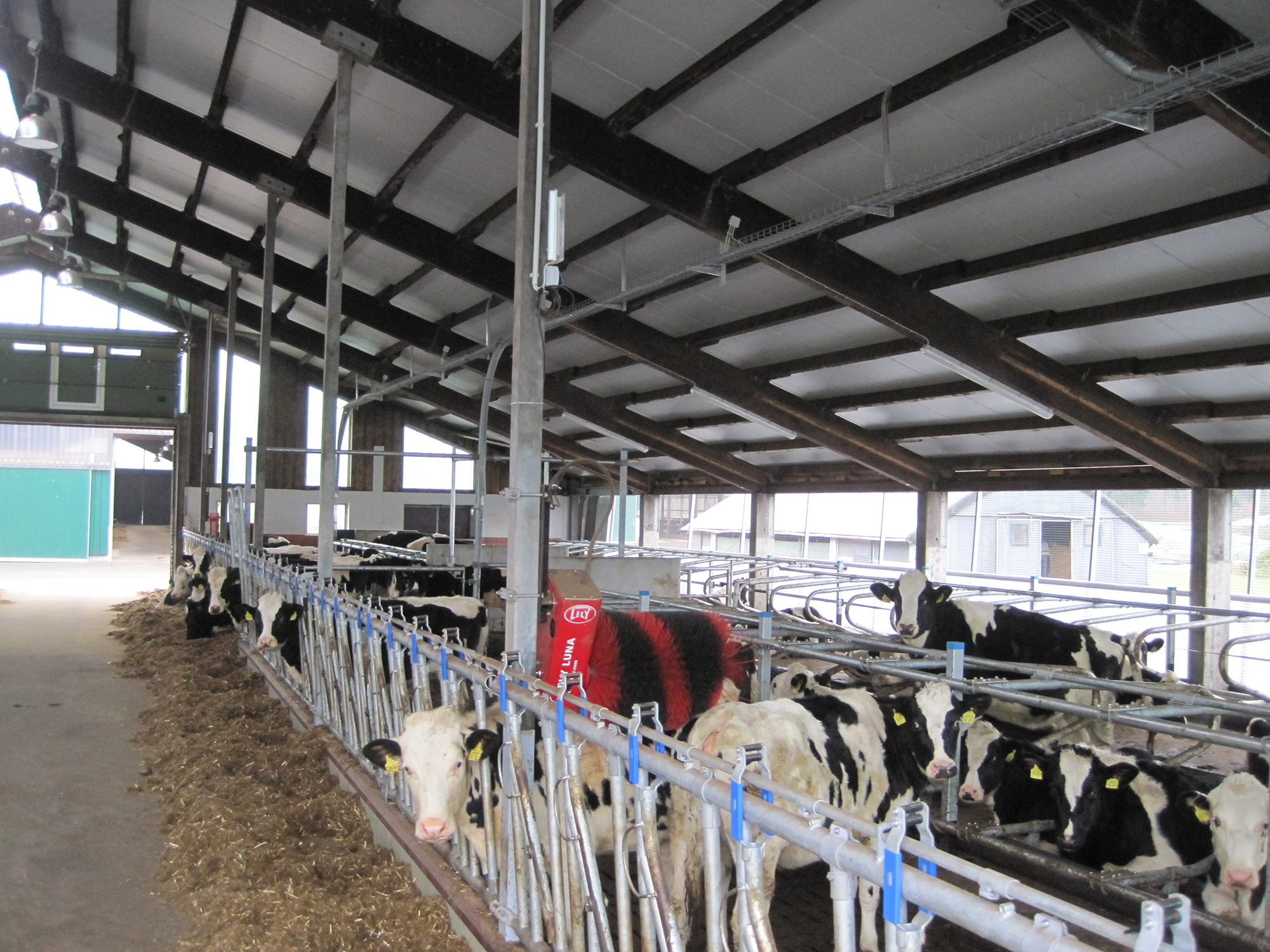 Jungviehstall auf Gut Hülsenberg Jungviehstall auf Gut Hülsenberg