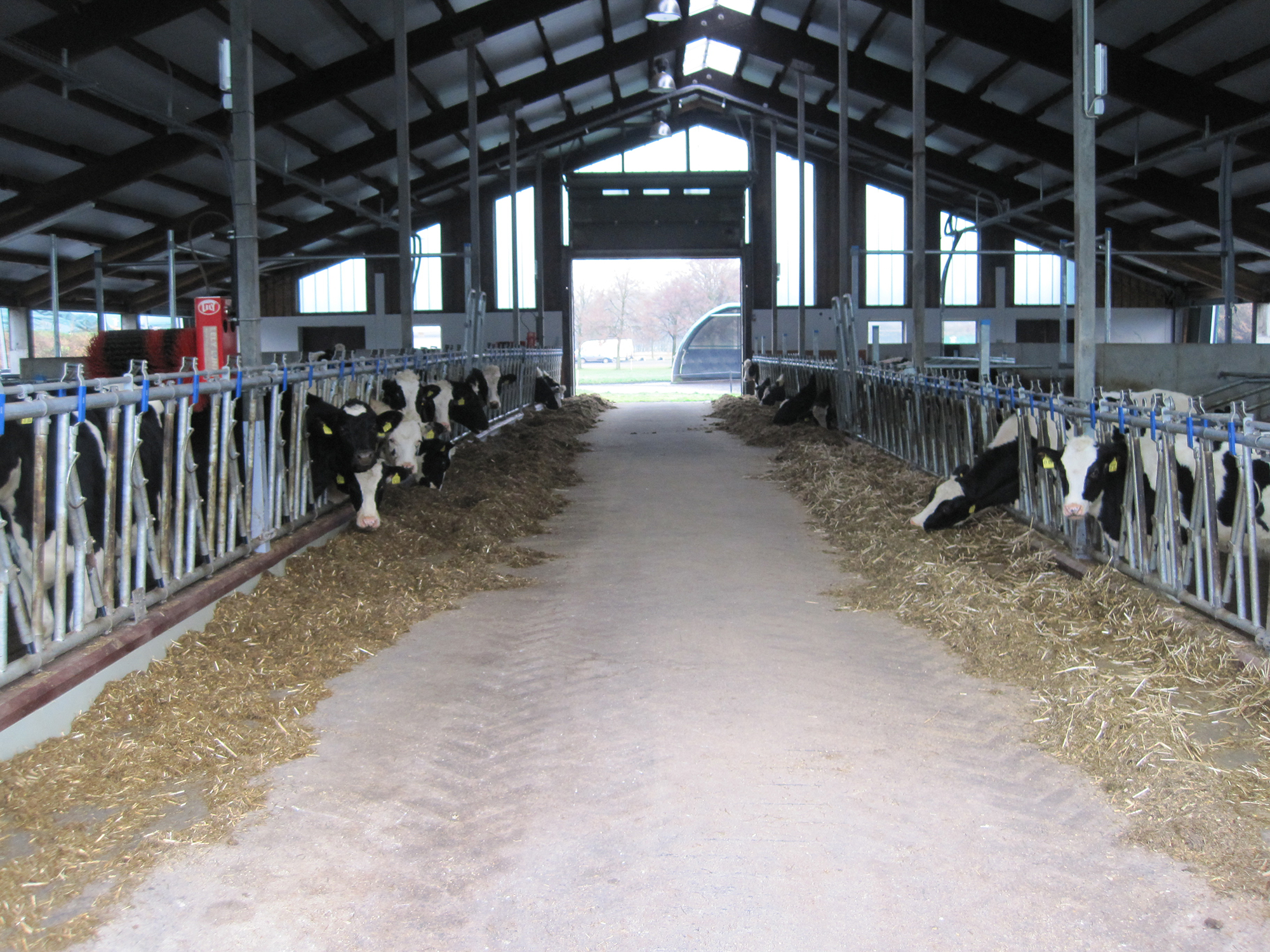 Jungviehstall auf Gut Hülsenberg Jungviehstall auf Gut Hülsenberg