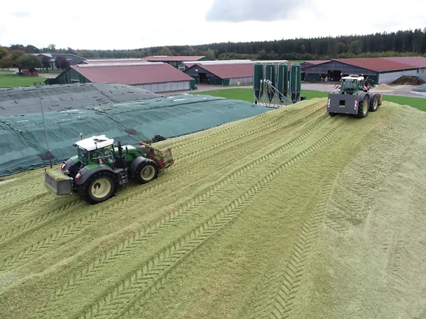 Silage wird im Silo verdichtet Silage wird im Silo verdichtet