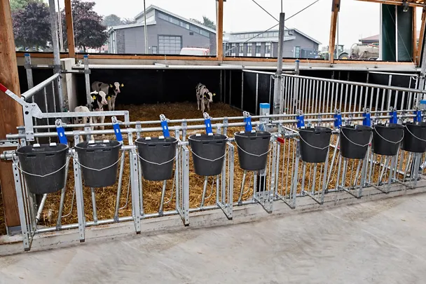 Kälberstall auf Gut Hülsenberg Kälberstall auf Gut Hülsenberg