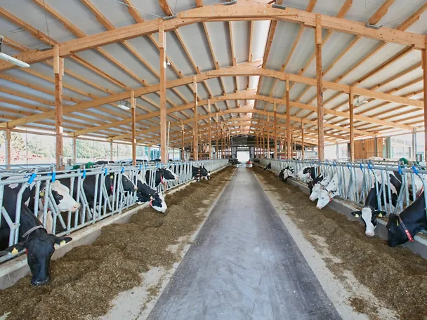 Kuhstall Gut Hülsenberg Kuhstall Gut Hülsenberg