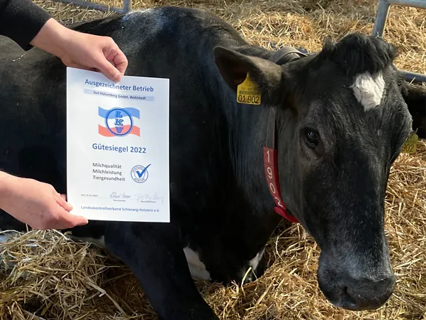 de_gh_urkunde_lkv_kuh_1000x750_72dpi de_gh_urkunde_lkv_kuh_1000x750_72dpi