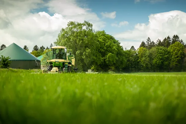 Gras mähen Gras mähen