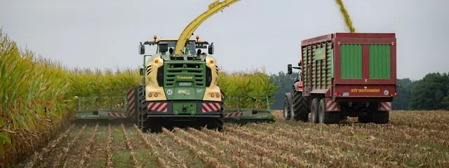 Maize harvest at Gut Hülsenberg Maize harvest at Gut Hülsenberg